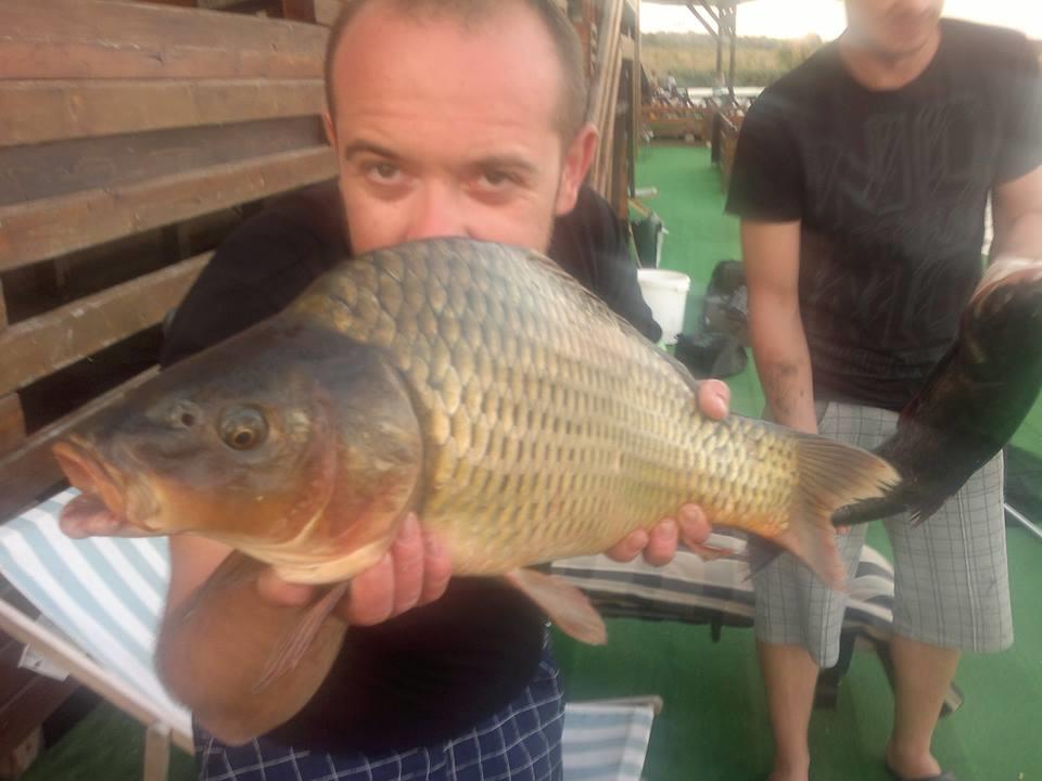 anul ce-a trecut... - cocosatul